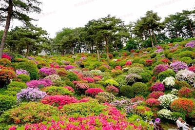 七月南川新景 蔬菜種植新去處，休閑農業(yè)新體驗